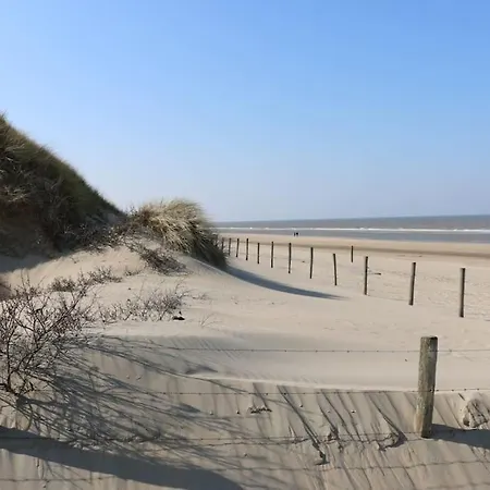 Bloem 'n Zee De Zilk