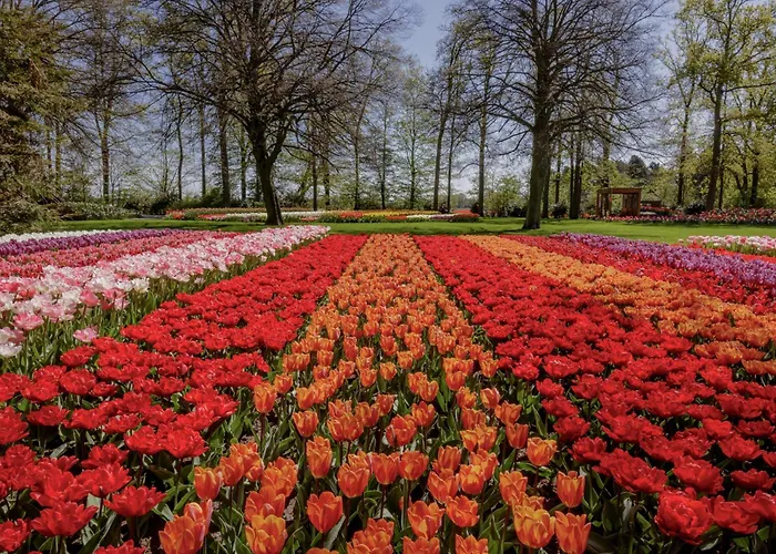 Apartman Bloem 'n Zee