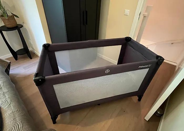 Bloem 'n Zee De Zilk