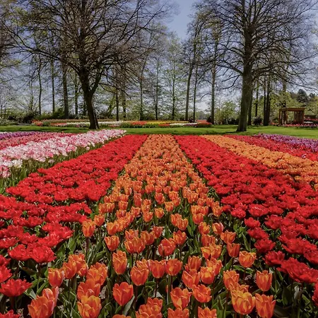 Апартаменты Bloem 'n Zee